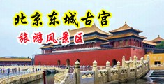 美女操大逼视频看看看看看看看看看中国北京-东城古宫旅游风景区